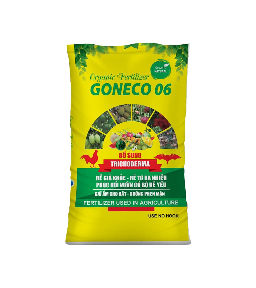 ជីសរីរាង្គ GONECO 06