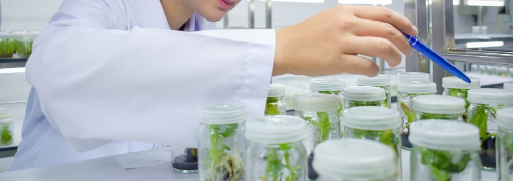 Research and development