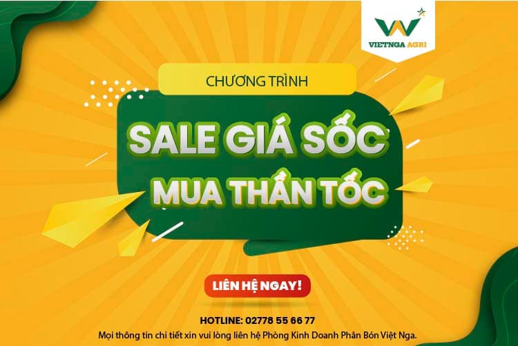 Sale giá sốc – Mua thần tốc cùng Phân Bón Việt Nga