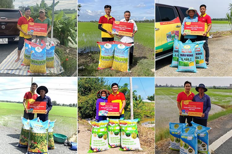 The Specialized Fertilizer Demonstration Model was successfully registered by a series of farmers in Dong Thap in the Autumn-Winter Crop.