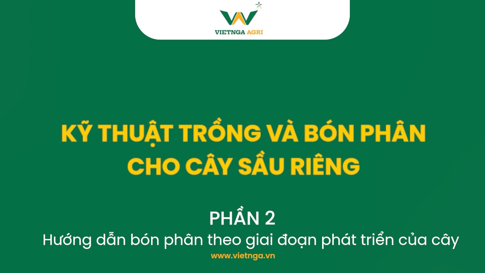 ផ្នែកទី II៖ បច្ចេកទេសដាំ និងដាក់ជីសម្រាប់ដើមទុរេន៖ ការណែនាំអំពីការដាក់ជីតាមដំណាក់កាលលូតលាស់