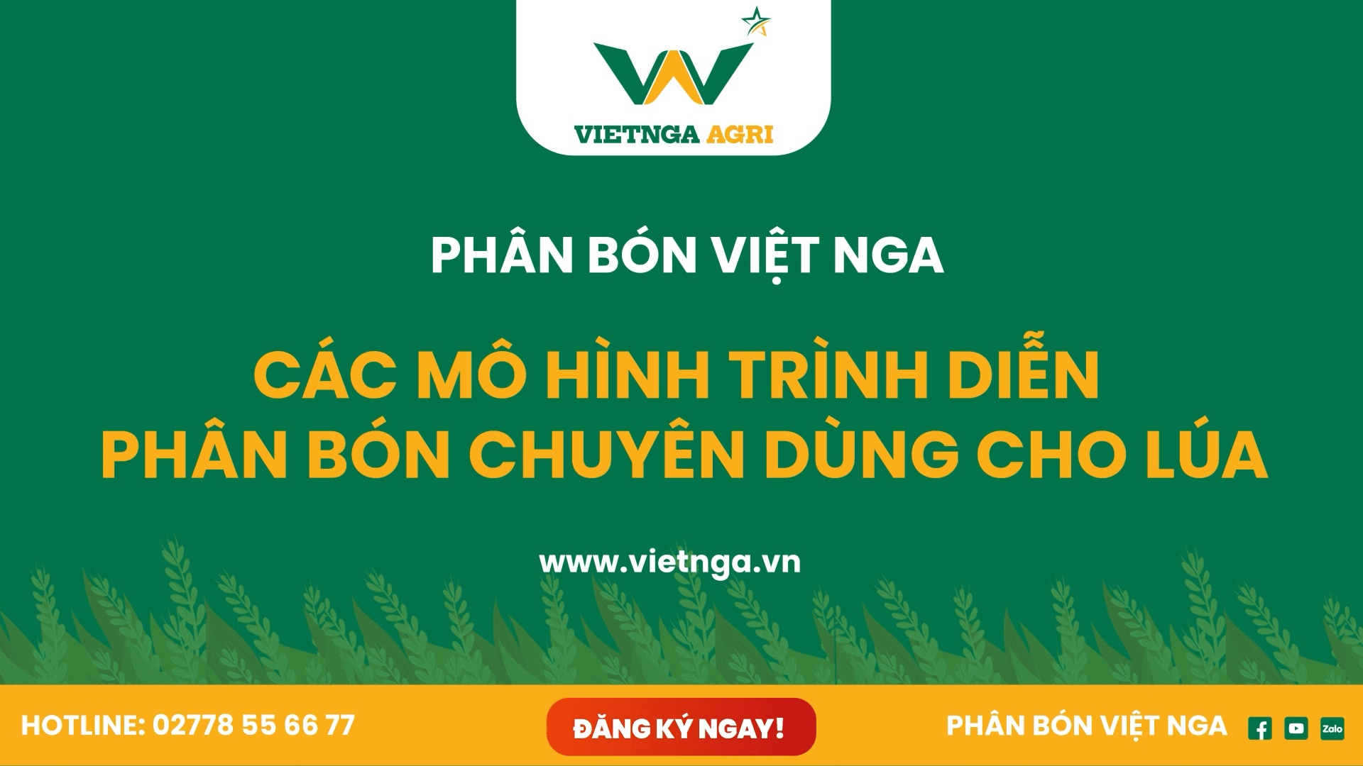 សង្ខេបគំរូបង្ហាញជីប្រើពិសេសសម្រាប់ស្រូវ រដូវក្តៅ-សរទរដូវ 2022