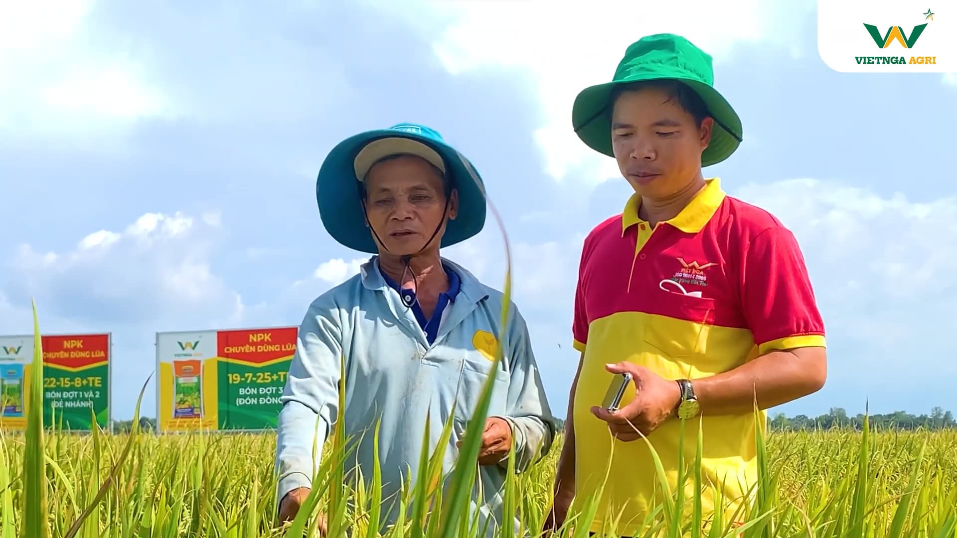 Viet Nga Fertilizer summarizes the demonstration model of specialized fertilizer for Summer-Autumn rice crop 2022