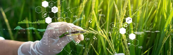Nguyên tắc bón phân 5 đúng 1 cân đối cho cây trồng