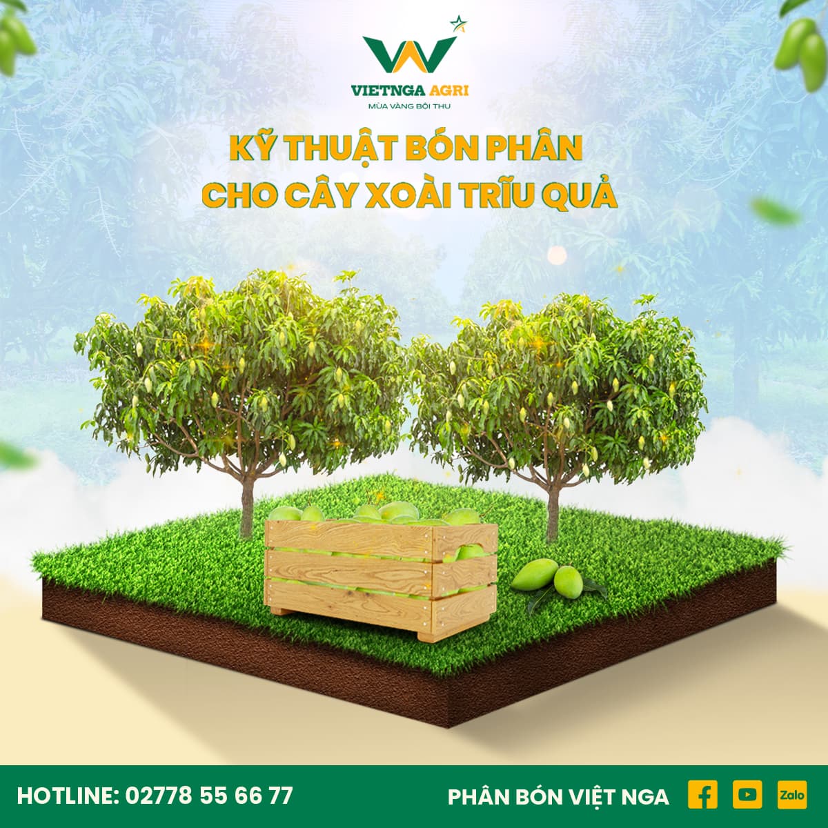 2.1. លក្ខខណ្ឌបរិស្ថានសមស្របសម្រាប់ការលូតលាស់របស់ដើមស្វាយ