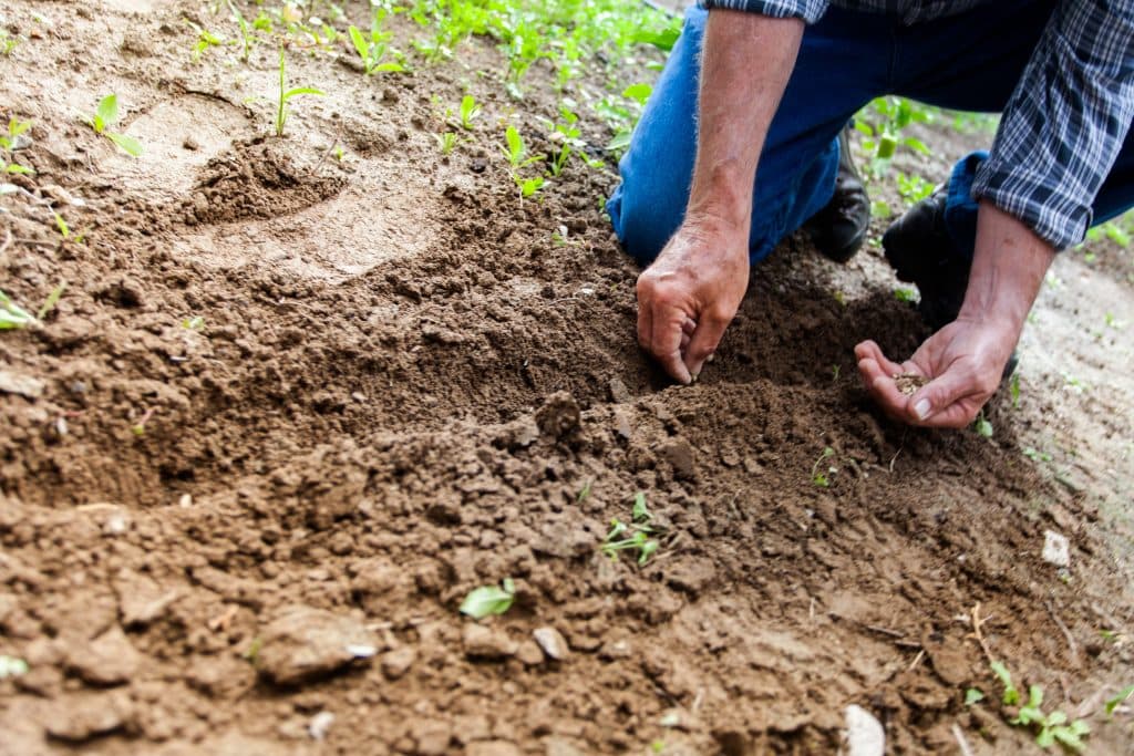 Efficient farming depends on identifying the right soil type and crops.