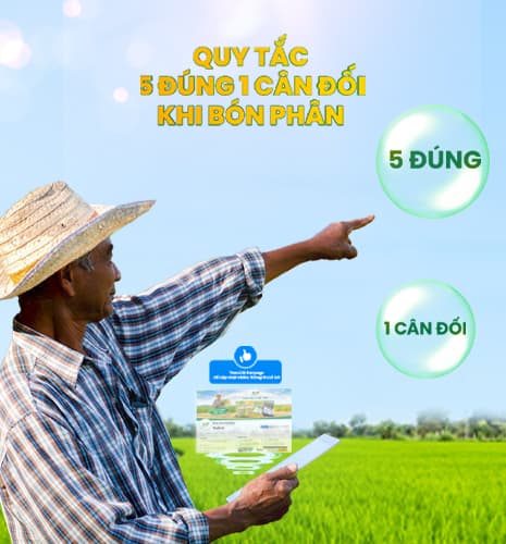 The “5 Right, 1 Balanced” Fertilization Principle for Effective Crop Application