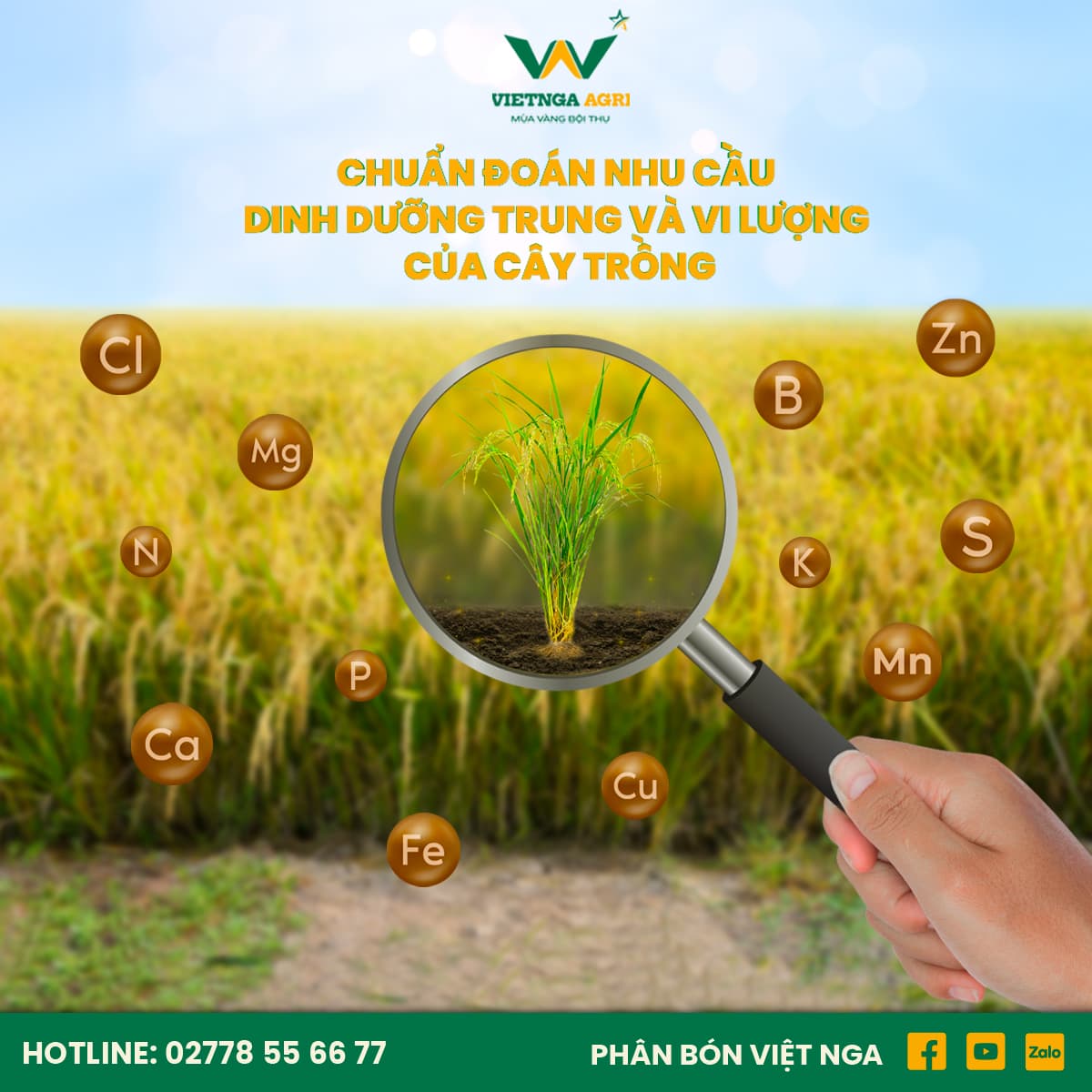 Diagnosis of Macro and Micronutrient Requirements of Plants