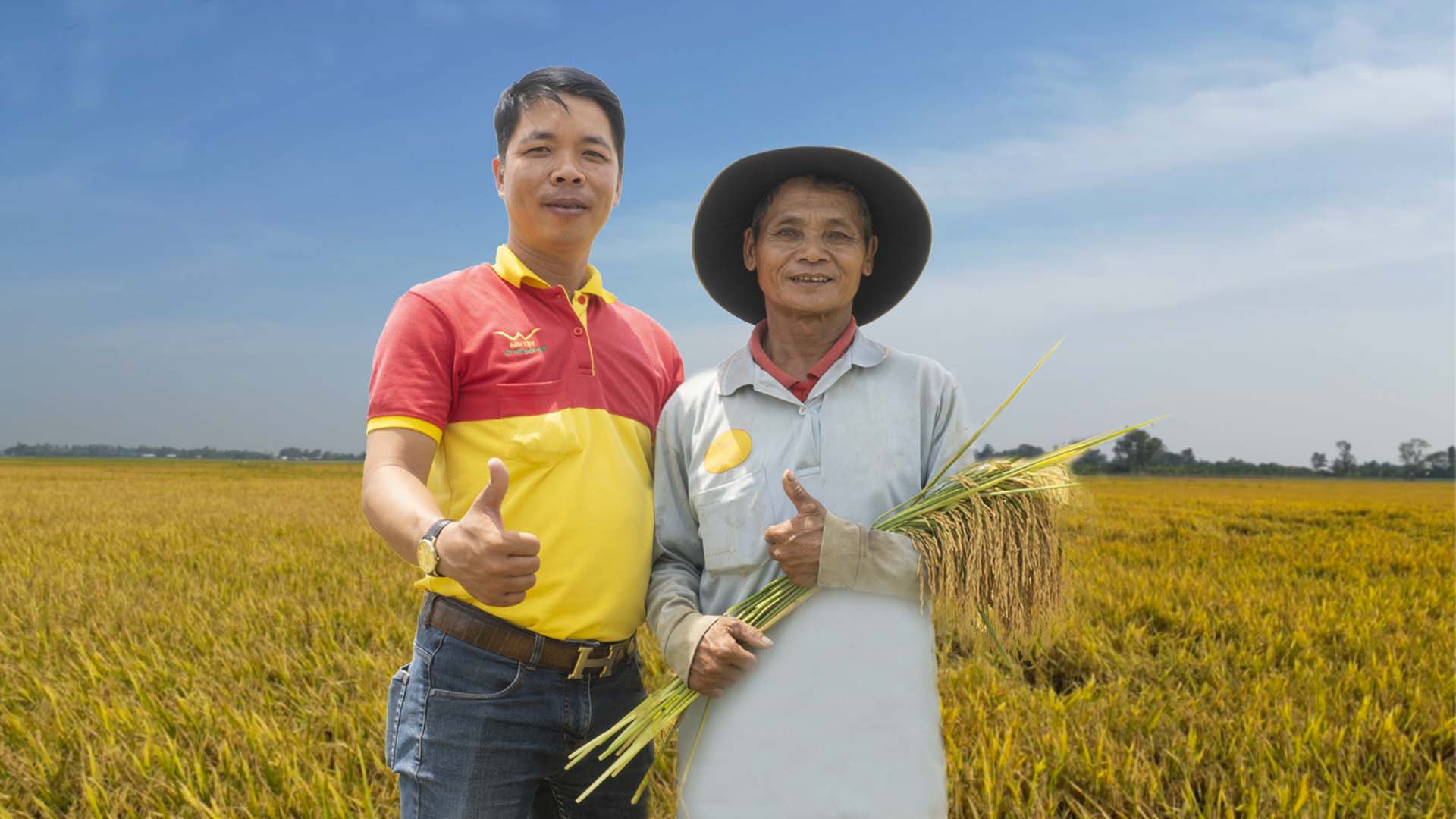 ការចែករំលែករបស់កសិករក្រោយពីប្រើជីប្រើពិសេស Viet Nga Fertilizer អស់ពីររដូវលើស្រែ 10 ហិកតា