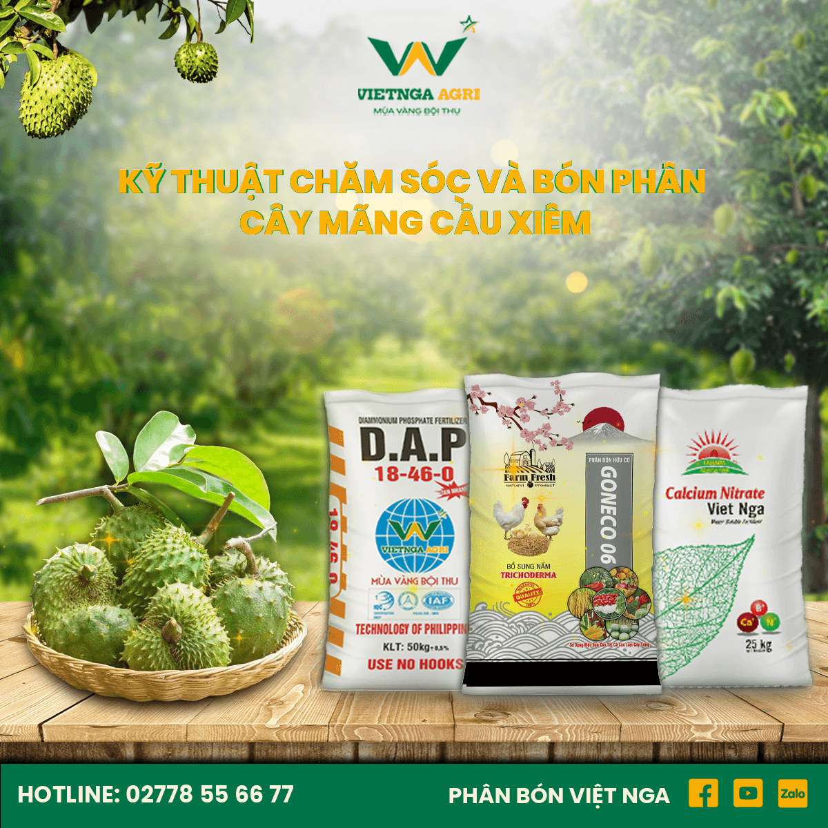 បច្ចេកទេសដាំ និងជីប្រើពិសេសសម្រាប់ដើមទៀបបារាំង