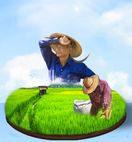 ហេតុអ្វីបានជាទីផ្សារជីសកលប្រឈមមុខនឹងការលំបាកជាបន្តបន្ទាប់នៅឆ្នាំ ២០២៣?