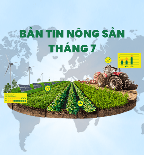 ផលិតផលកសិកម្មក្នុងខែកក្កដា ឆ្នាំ២០២៣៖ តម្លៃអង្ករមានភាពប្រសើរឡើង ផ្លែឈើជាច្រើនចូលដល់រដូវកាល