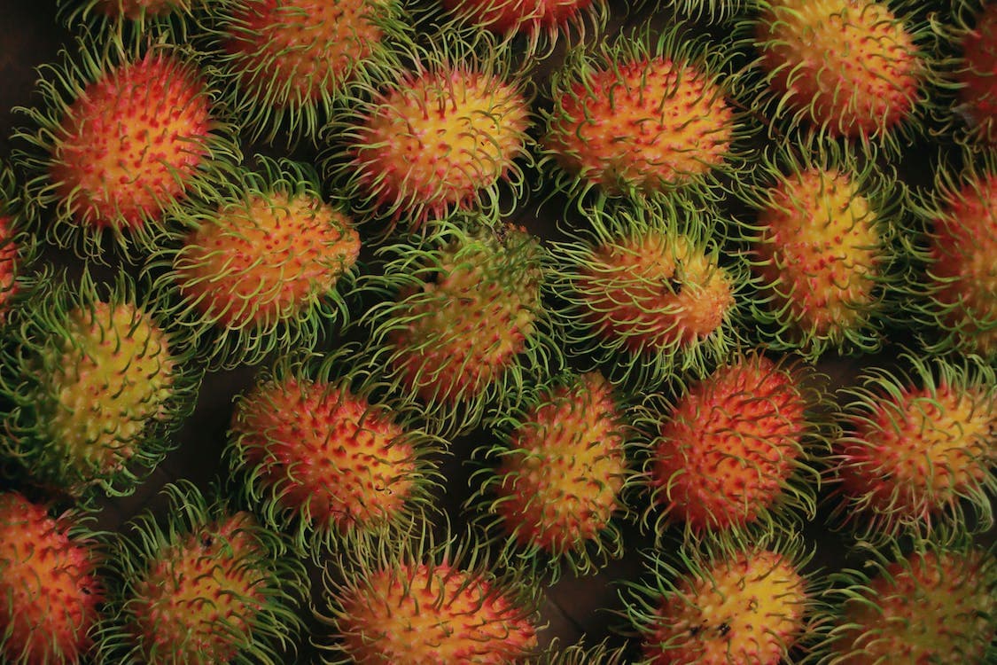 chôm chôm