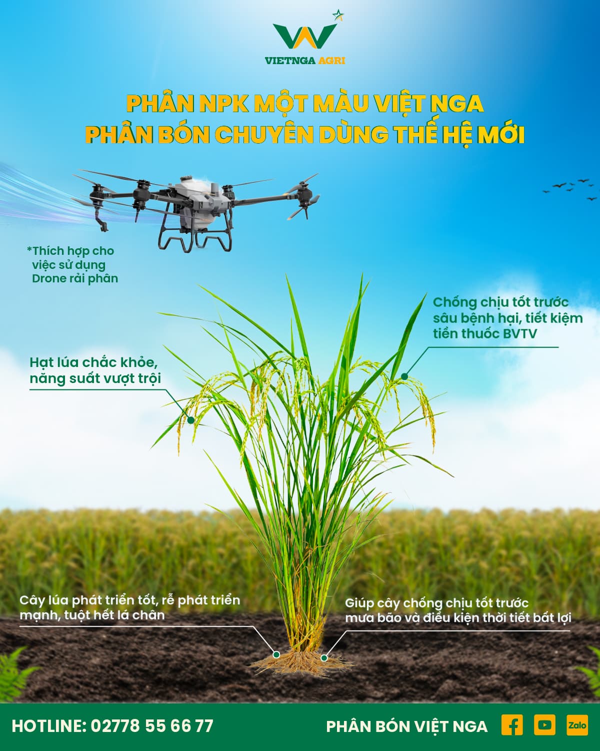 ជី NPK គ្រាប់តែមួយពណ៌ – ជីប្រើពិសេសជំនាន់ថ្មីសម្រាប់ស្រូវ