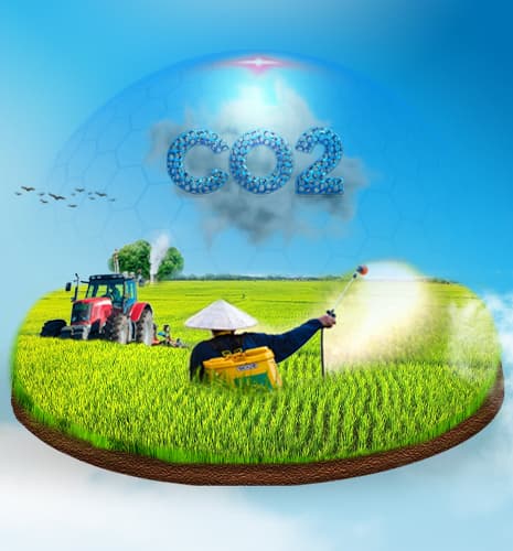 tín chỉ carbon