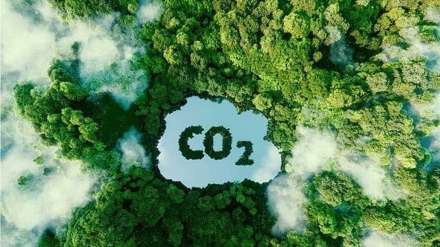 The Carbon Credit Market in Vietnam is Receiving Encouraging Signs