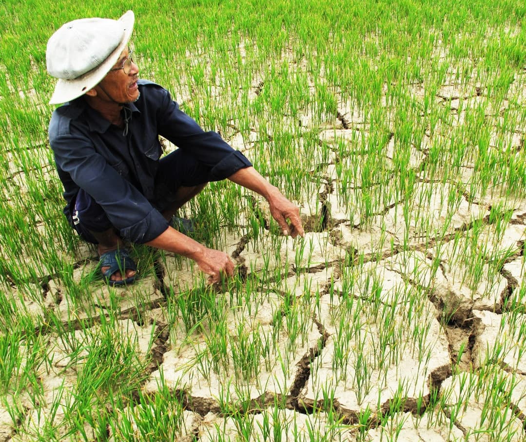 What is Saltwater Intrusion? Effective Response Measures