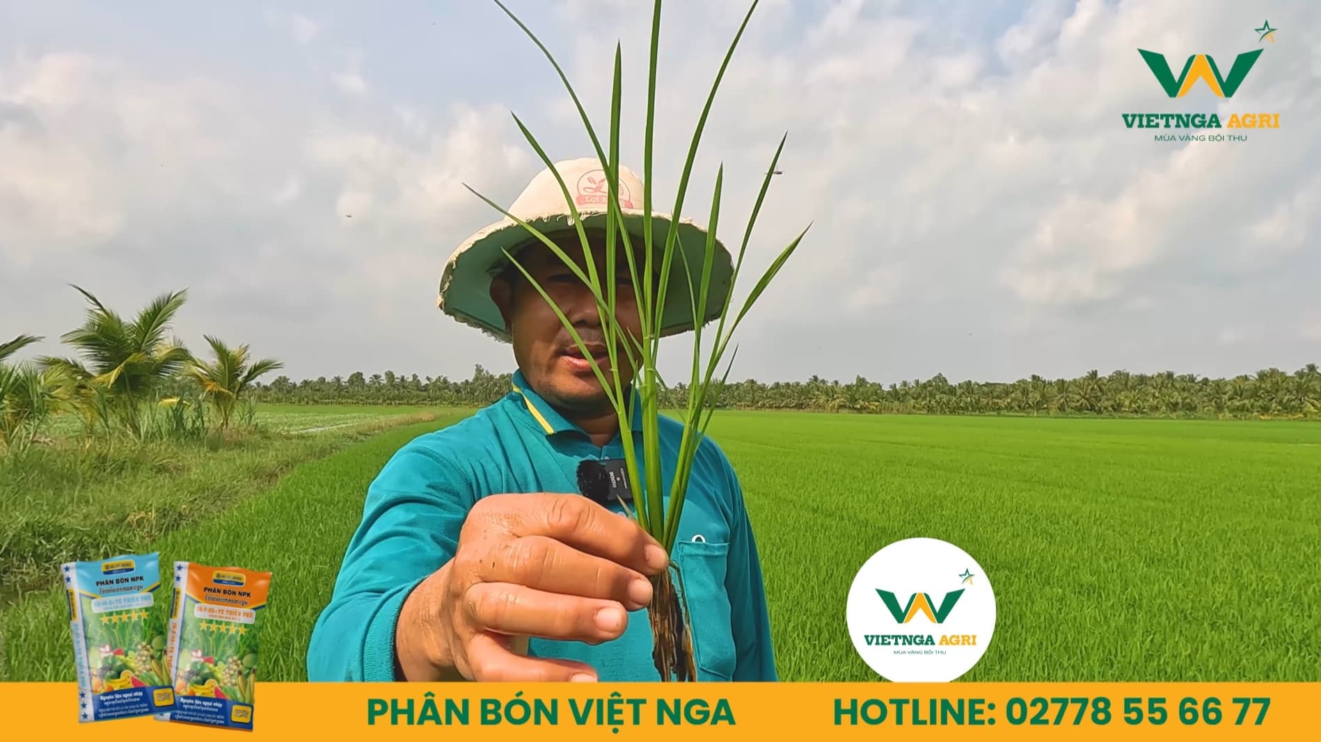 Ấn Tượng Với Năng Suất Hơn 900kg/Công/1000m2 Của Anh Thạch Kim Hoàng Cùng Phân Bón Việt Nga