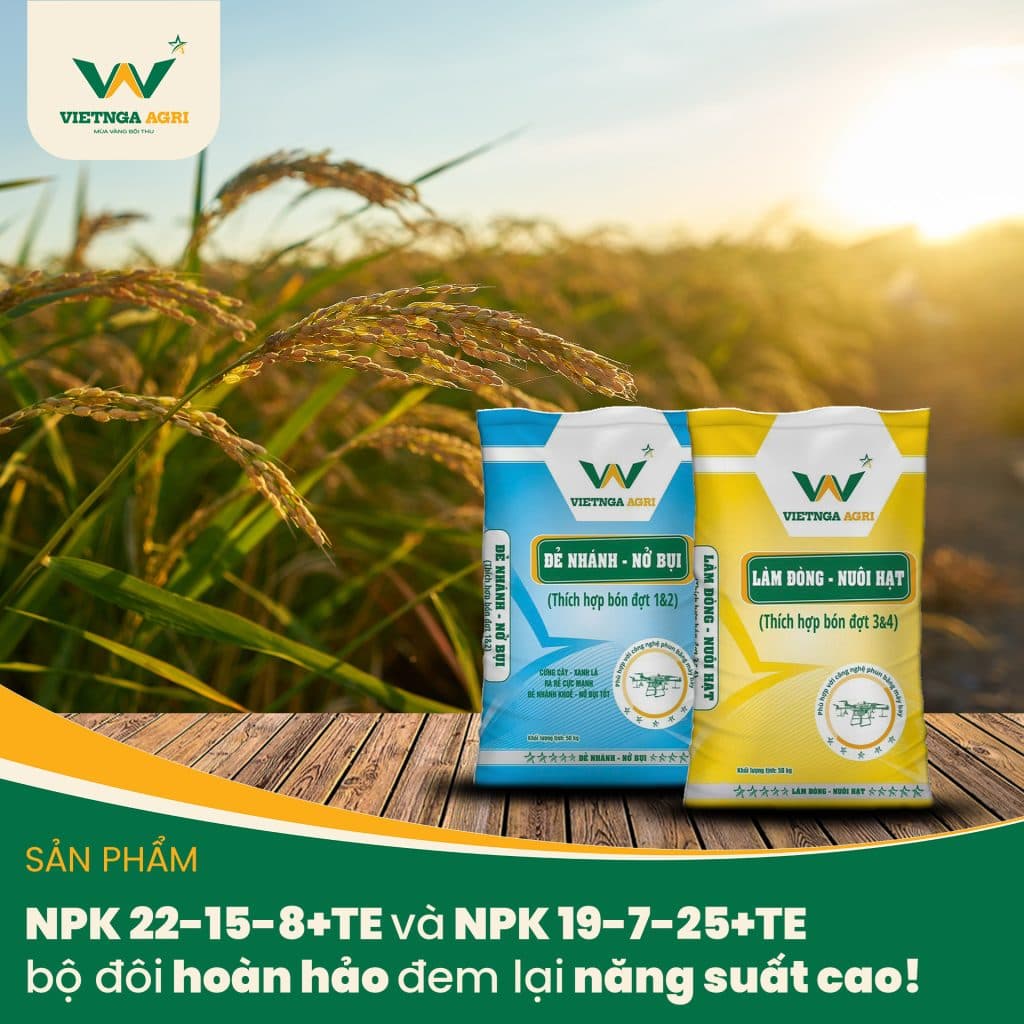bo san pham npk22 15 8 te va npk 19 7 25 te