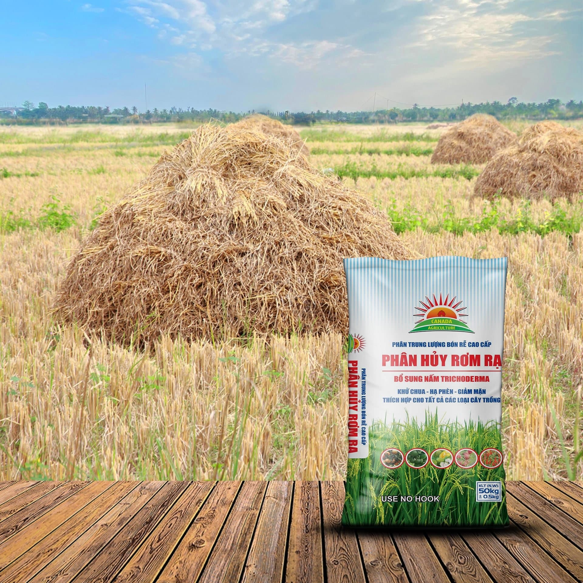 Detailed Guide: Proper and Environmentally Safe Handling of Rice Straw