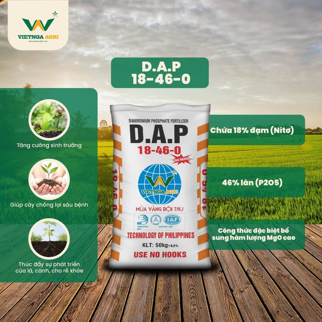 ជី DAP 18-46 សម្រាប់ស្រូវរដូវក្តៅ<br>