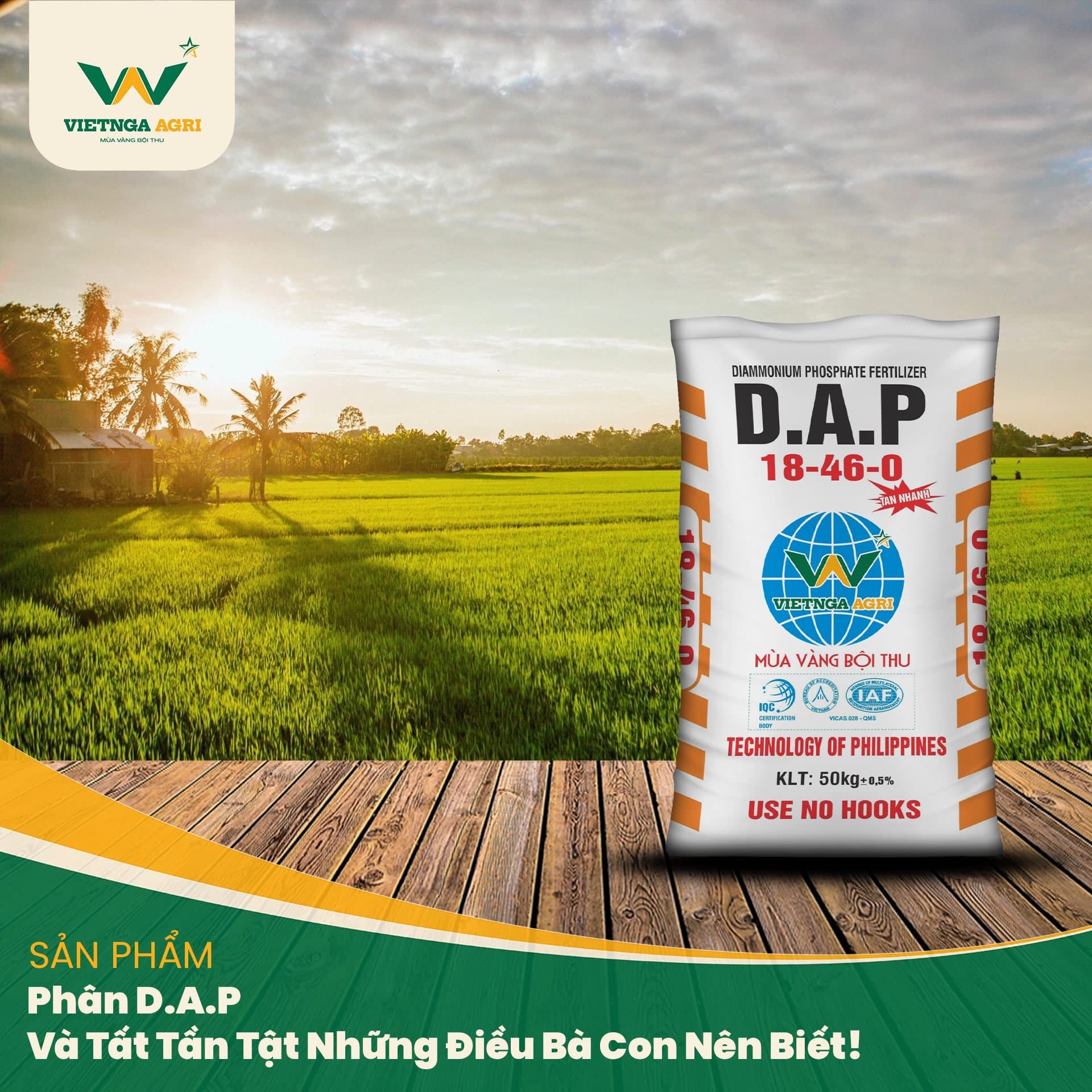 ជី DAP និងអ្វីគ្រប់យ៉ាងដែលអ្នកគួរដឹង!