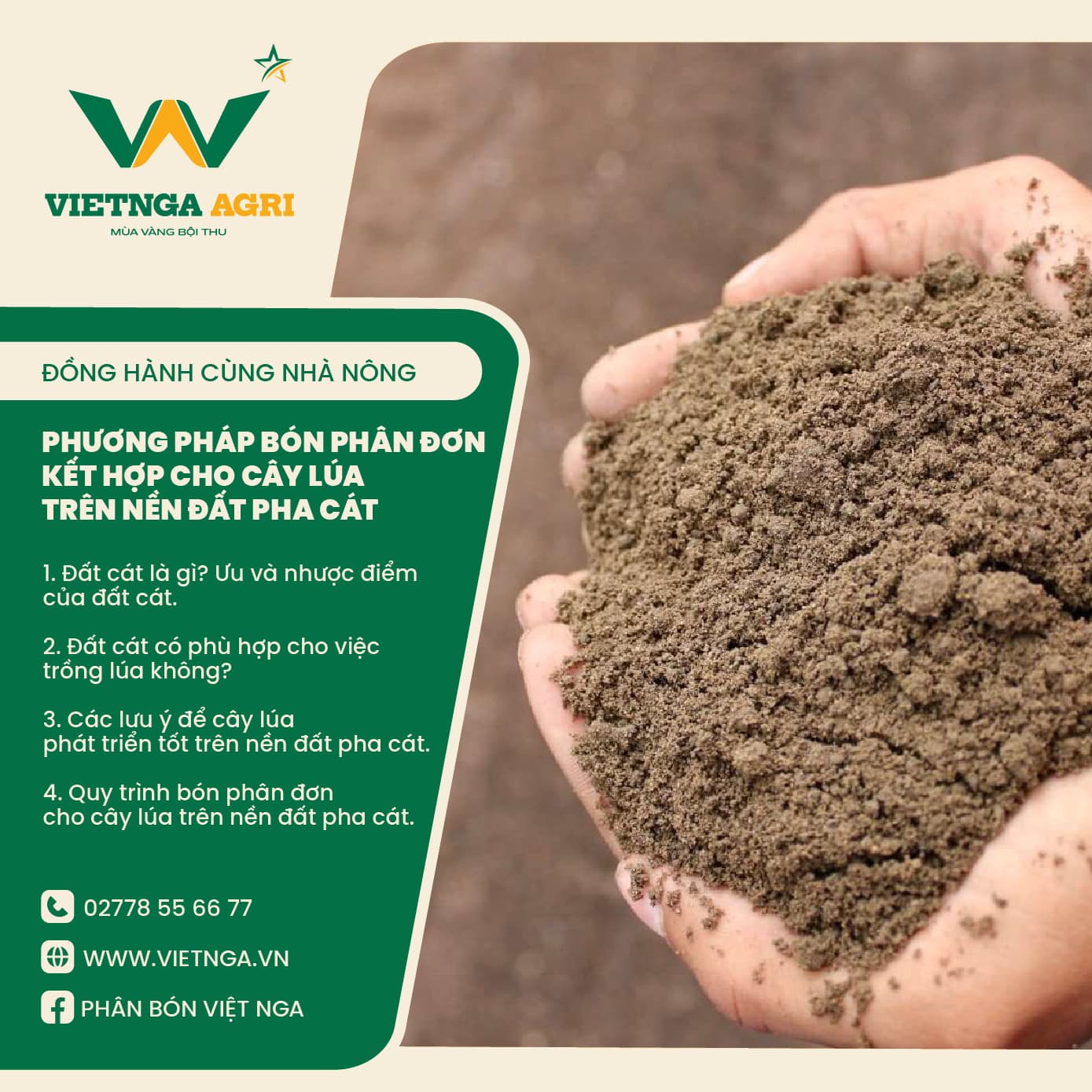 Method of Using Single Fertilizers in Combination for Rice Plants on Sandy Soil