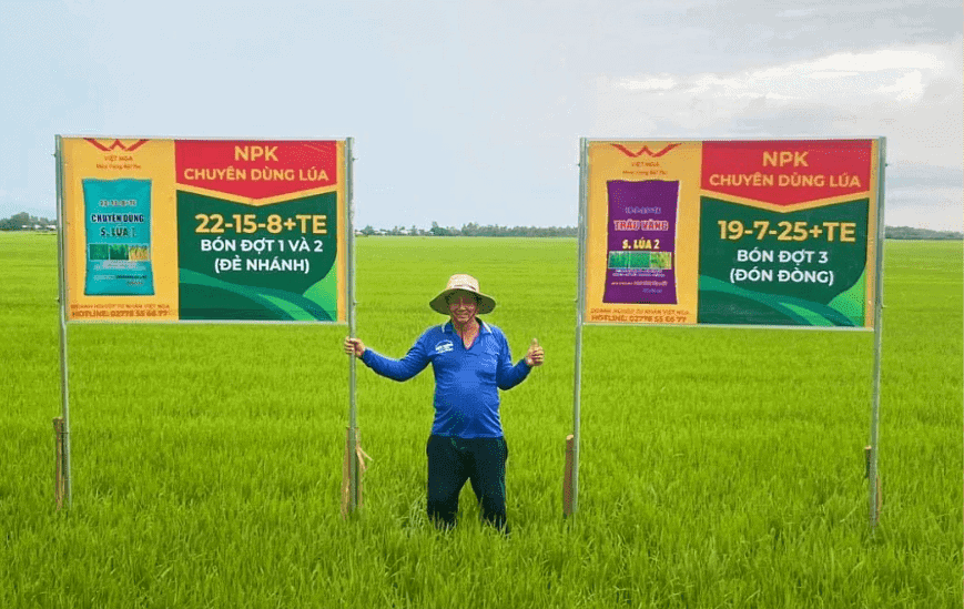 Demonstration model of specialized fertilizers for summer-autumn rice cultivation in 2022.