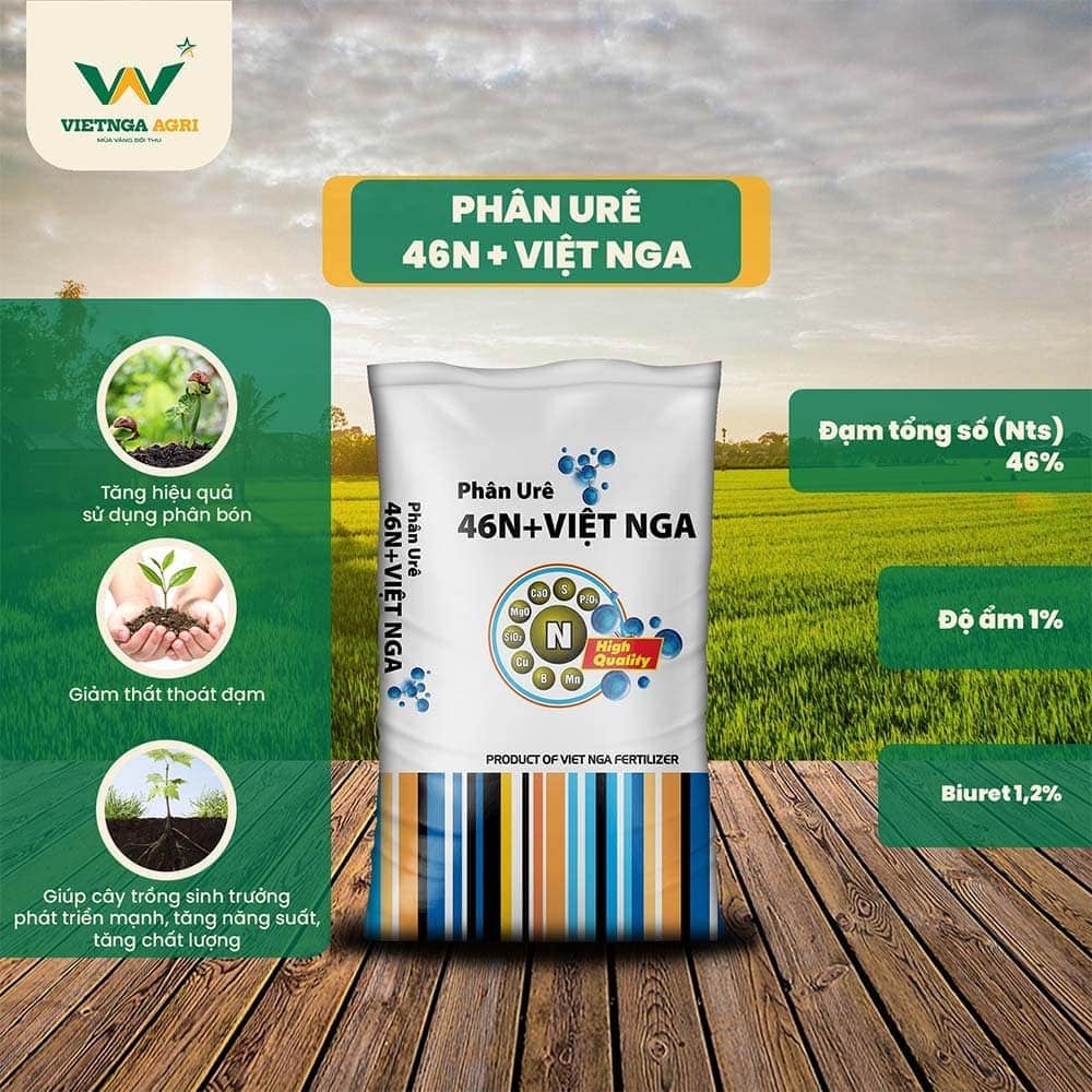 ជី Ure 46N+ Viet Nga កាត់បន្ថយការបាត់បង់អាស៊ីត បង្កើនប្រសិទ្ធភាពការប្រើជី