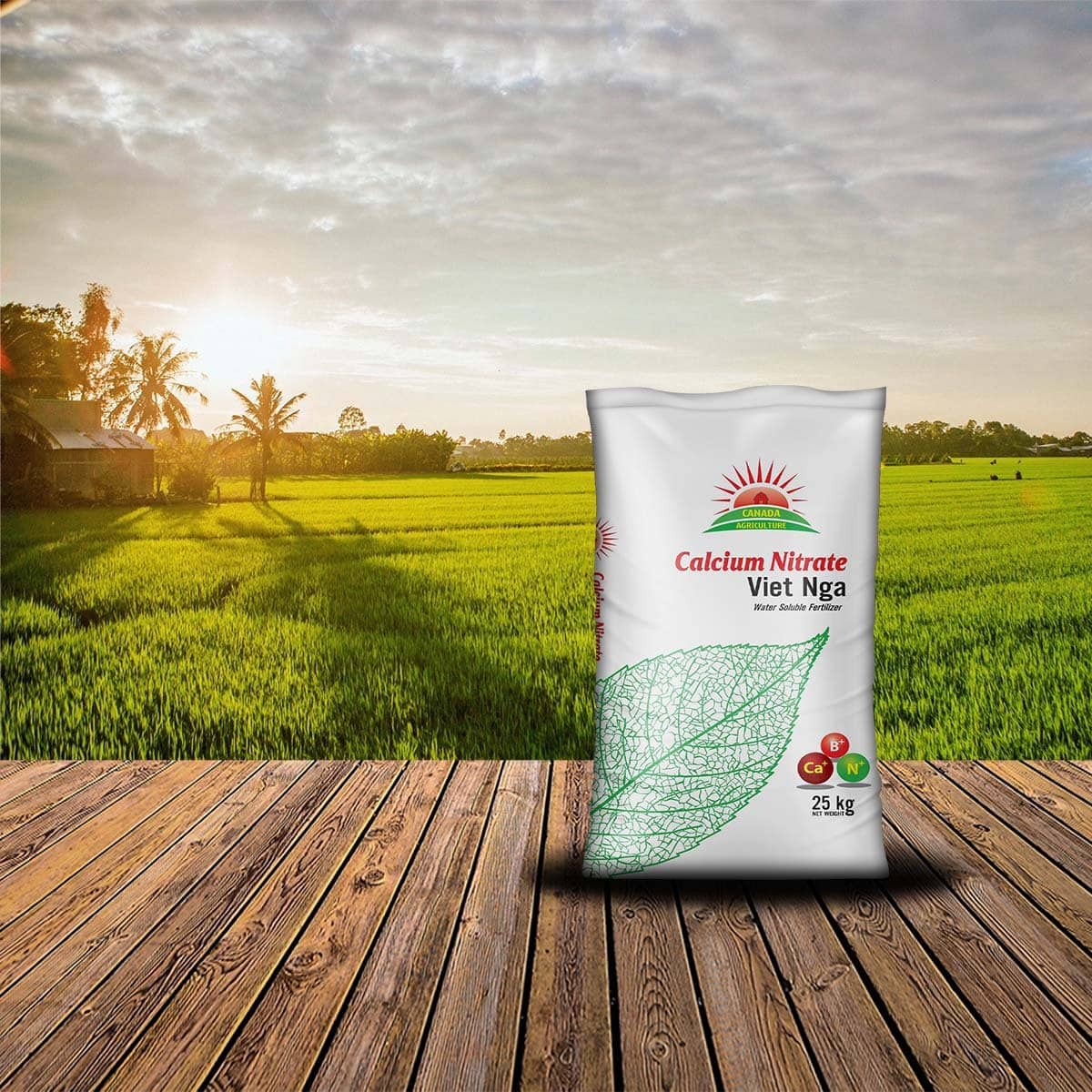 ការយល់ដឹងអំពីជីកាល់ស្យូមនីត្រាតក្នុងផលិតកម្មកសិកម្ម