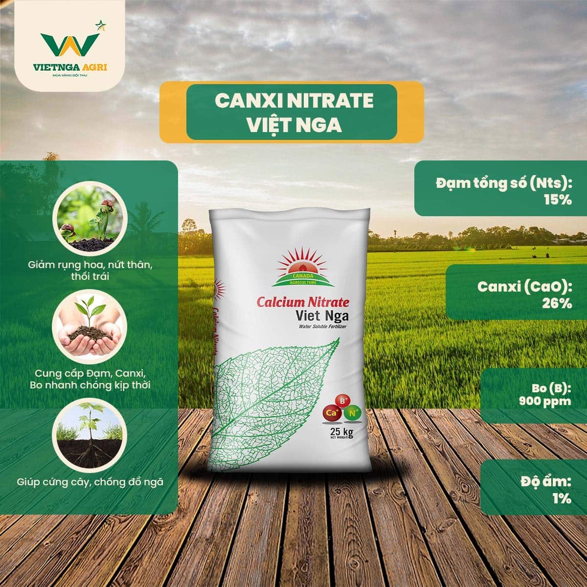 Understanding Calcium Nitrate Fertilizer in Agricultural Production