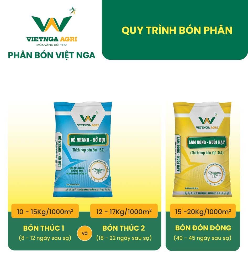 Quy trình bón phân chuyên dùng