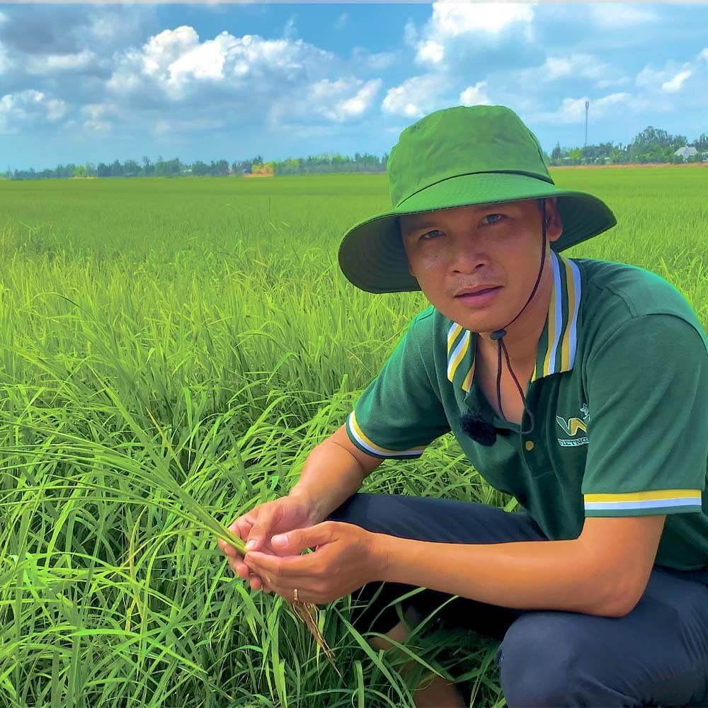 អាថ៌កំបាំងនៃការប្រើប្រាស់ជីអ៊ុយរ៉េខ្មៅ Viet Nga ប្រកបដោយប្រសិទ្ធភាពជាមួយអ្នកជំនាញ