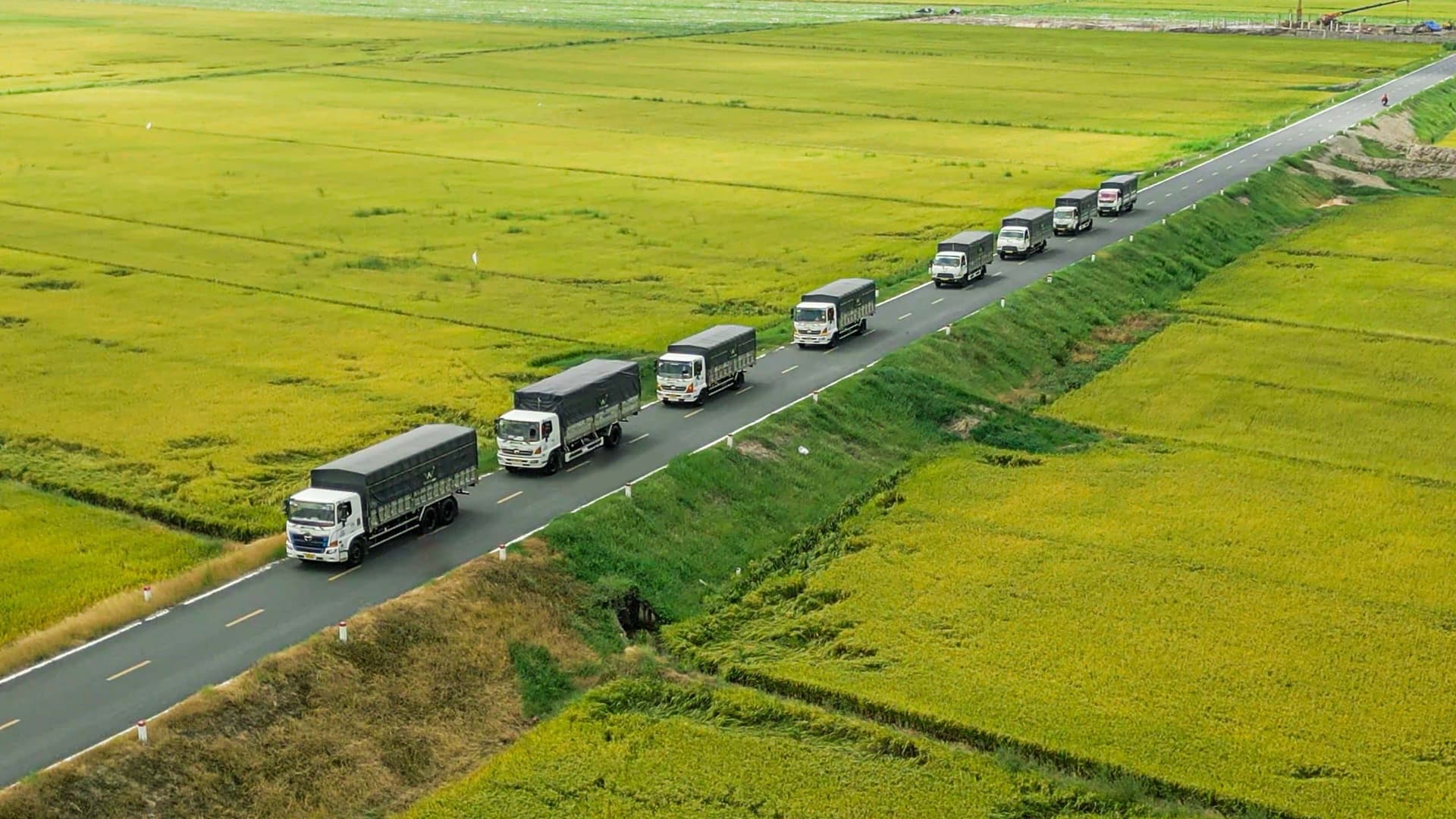 Viet Nga Fertilizer – មានមោទនភាពជាអ្នកផ្គត់ផ្គង់ជីដែលមានភាពទុកចិត្តខ្ពស់