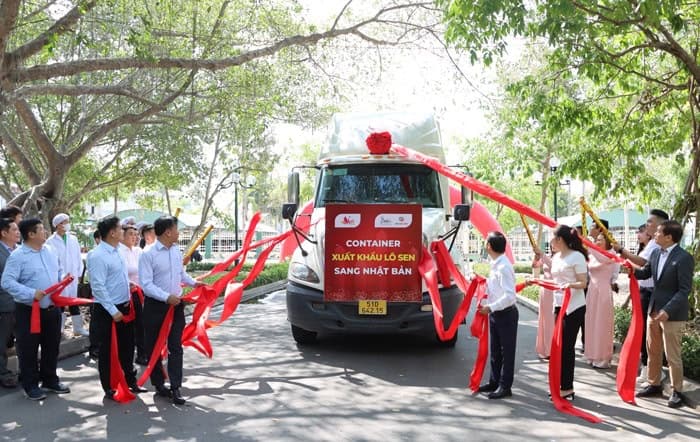 Xuất khẩu sen sang thị trường Nhật Bản
