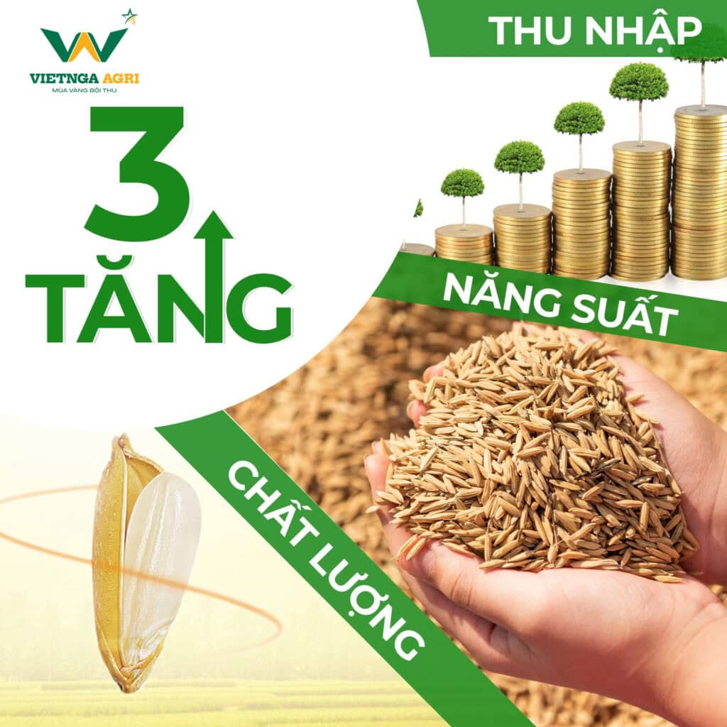 3 tang 2