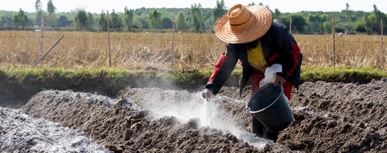 Bón vôi hạ phèn hiệu quả