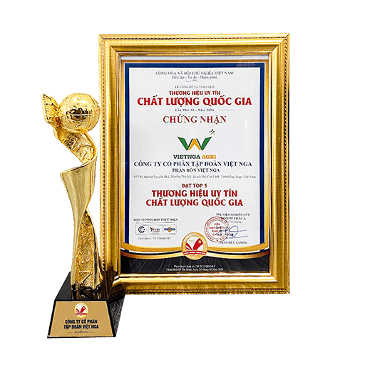 Top 5 Thương Hiệu Uy Tín – Chất Lượng Quốc Gia 2024