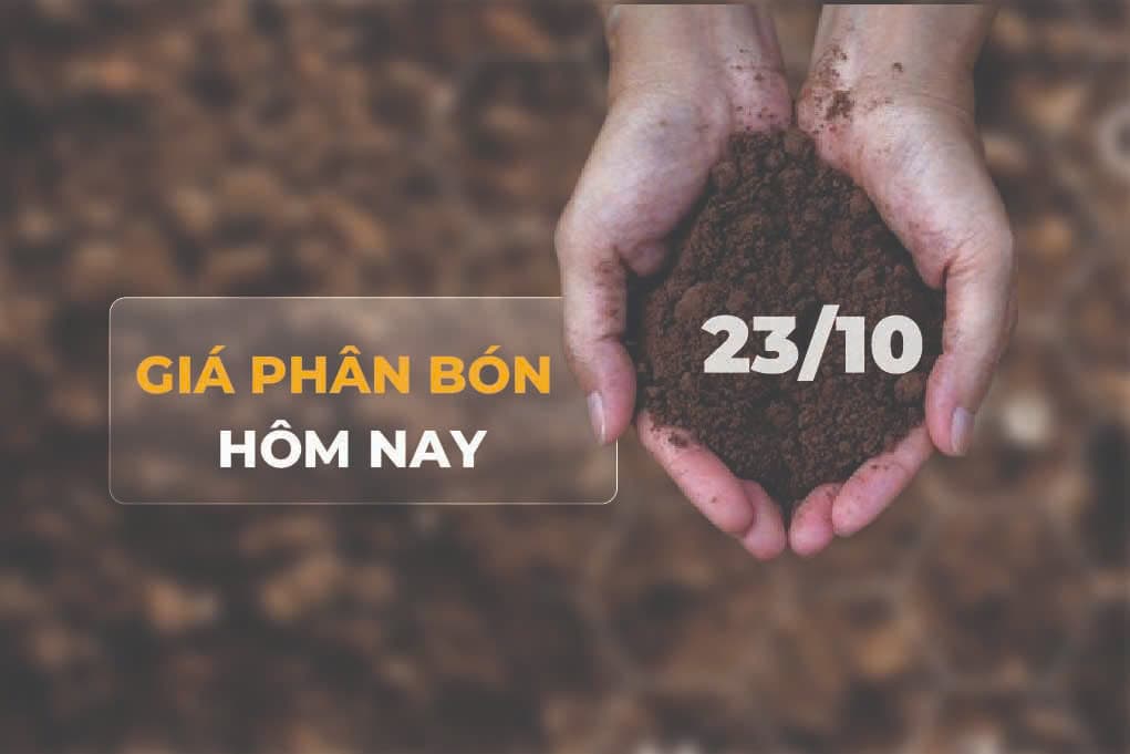 giá phân bón