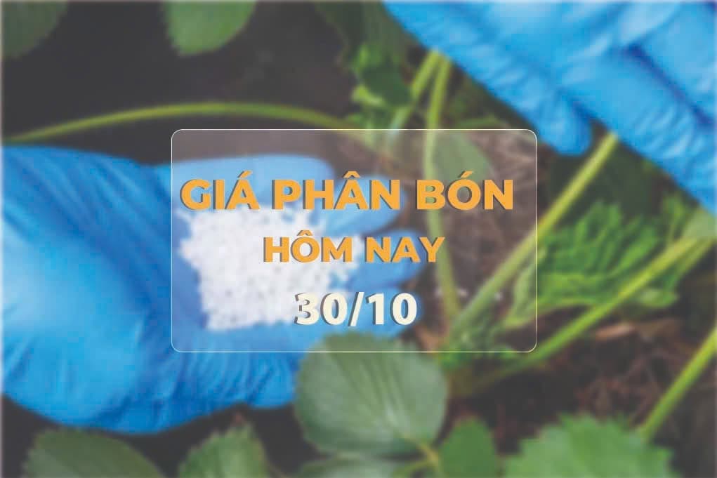 Giá phân bón