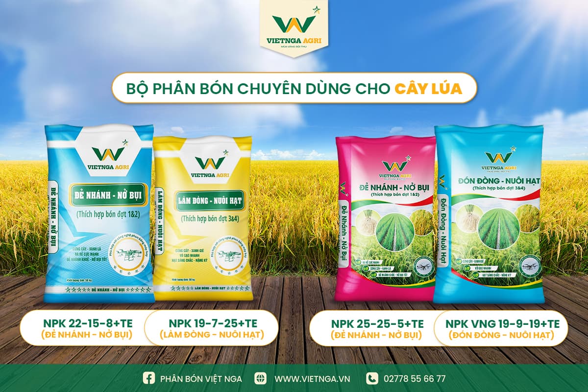 Viet Nga Fertilizer ជំនាញផ្គត់ផ្គង់មុខទំនិញជីដែលមានគុណភាព និងតម្លៃល្អជូនបងប្អូនកសិករ