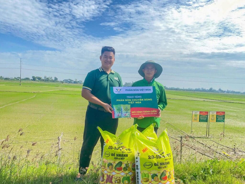 គំរោងបង្ហាញជាក់ស្តែងនៃជីប្រើពិសេសរបស់ Viet Nga នៅស្រែស្រូវរបស់លោក យឿន ហ៊ូ ហាញ (Duong Huu Hanh)