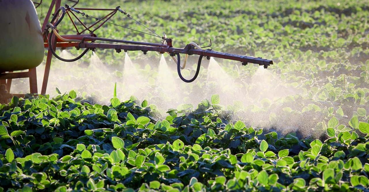 What is foliar fertilizer? Learn the basics of foliar fertilizer and how to use it effectively.