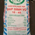 DAP Đình Vũ (hạt xanh)