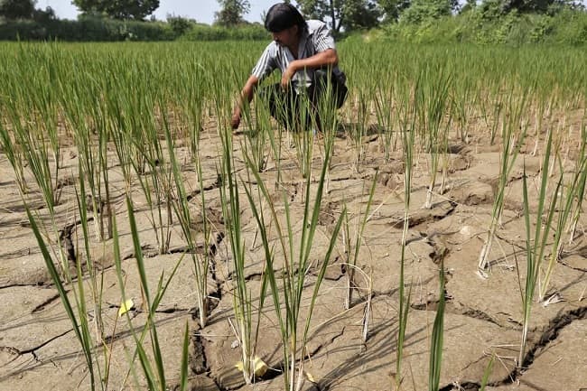 El Nino αααααΎαα αΆαα·ααααα·ααααααααα»ααααααα’αΆαααΈα’αΆαααααα