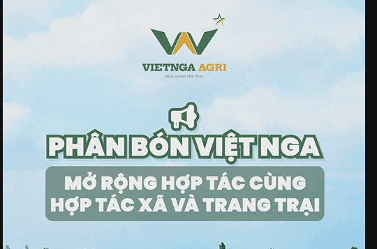 Viet Nga Fertilizer Provides Fertilizer Supply Solutions for Cooperatives and Farms