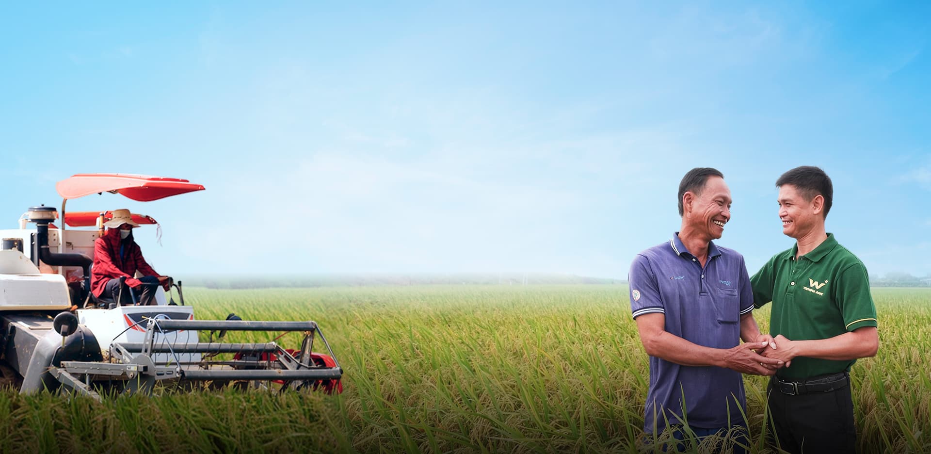 Giải pháp cung ứng phân bón đồng bộ cho hợp tác xã