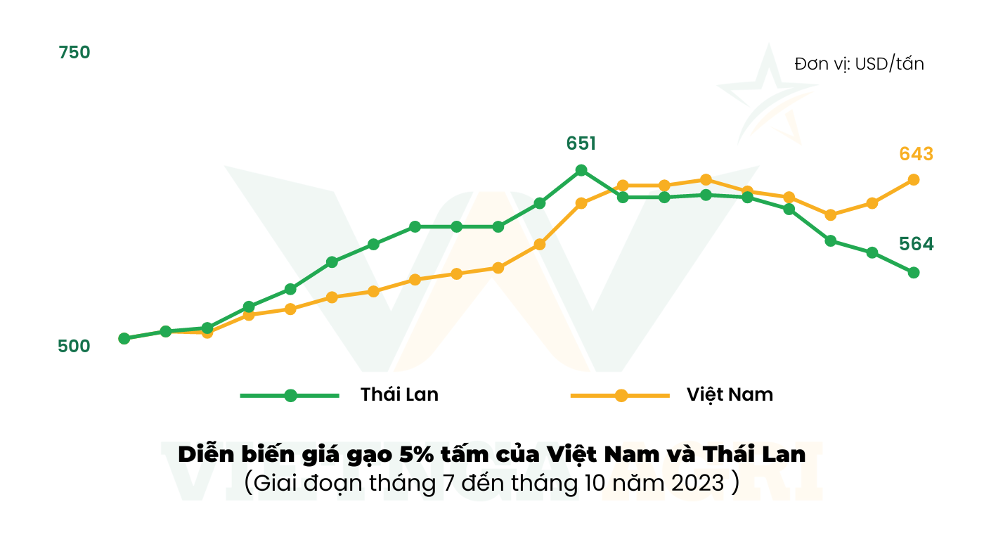 vietnga.vn - biểu đồ giá lúa 