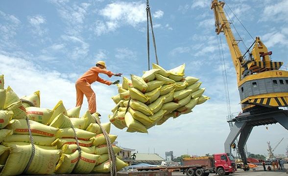 giá lúa gạo xuất khẩu