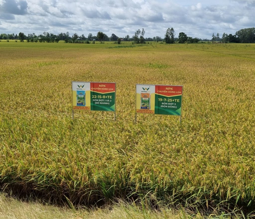 ការកែលំអរផលិតផលជាបន្តបន្ទាប់ vietnga.vn phan chuyen dung cho lua 4